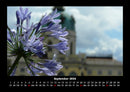 Blumenträume Fotokalender 2026 - 9