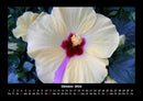 Blumenträume Fotokalender 2026 - 10