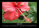 Blumenträume Fotokalender 2026 - 8
