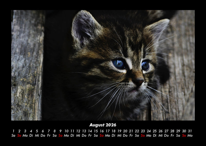 Haustierkalender Fotokalender 2026 - 8