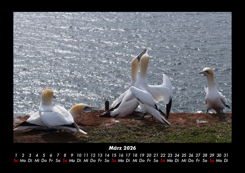 Die Seen der Erde Fotokalender 2026 - 3