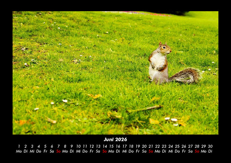 London - Impressionen Fotokalender 2026 - 6