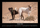 Hundezauber Fotokalender 2026 - 10