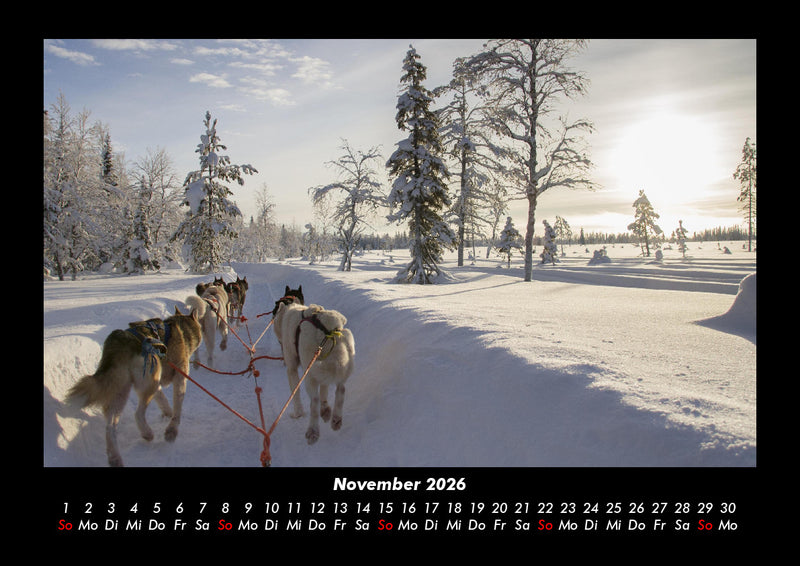 Hundezauber Fotokalender 2026 - 11