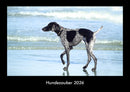 Hundezauber Fotokalender 2026 - Hauptbild