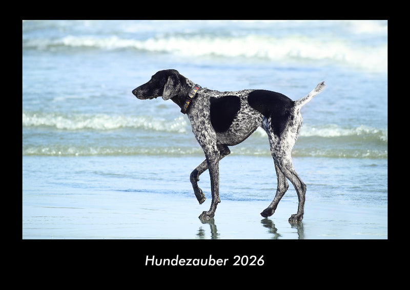 Hundezauber Fotokalender 2026 - Hauptbild