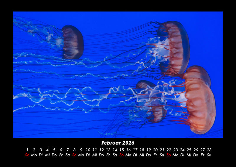 Meereslandschaft Fotokalender 2026 - 2