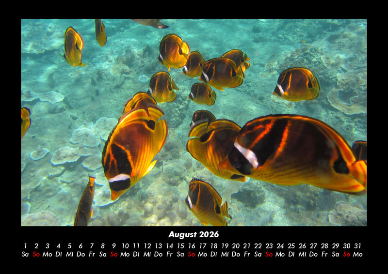 Meereslandschaft Fotokalender 2026 - 8