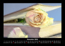 Rosentraum Fotokalender 2026 - 12