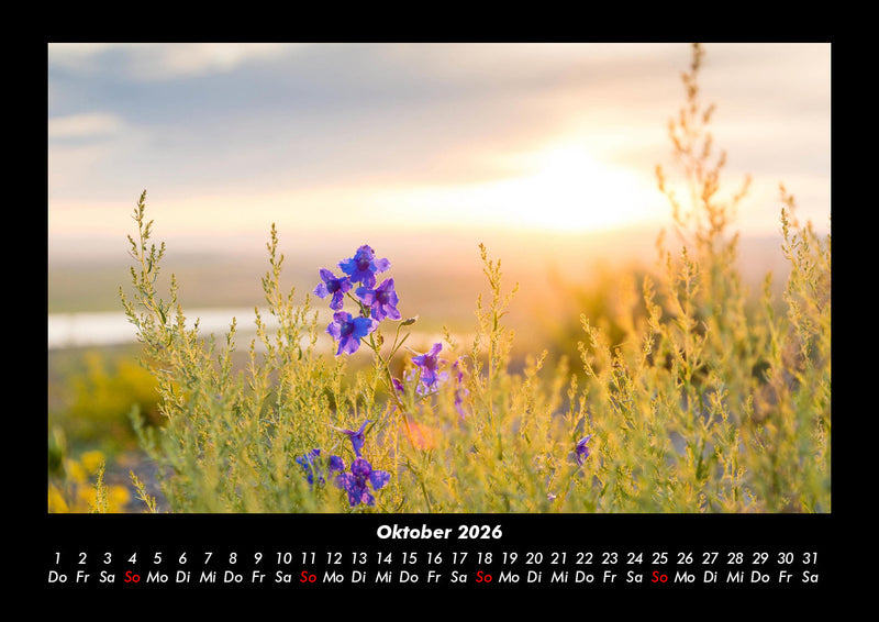 Blumenkalender Fotokalender 2026 - 10