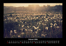 Blumenkalender Fotokalender 2026 - 2