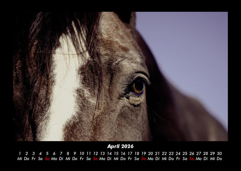 Pferdegeflüster Fotokalender 2026 - 4