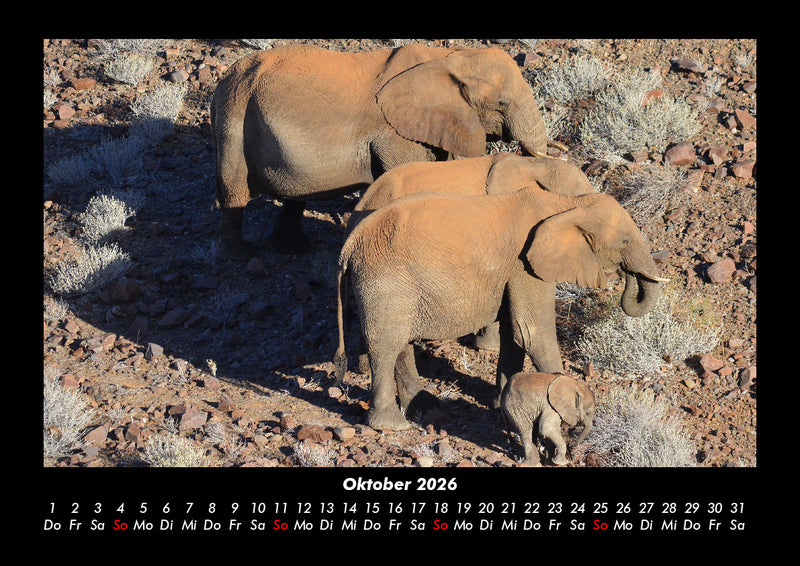 Elefanten Fotokalender 2026 - 10