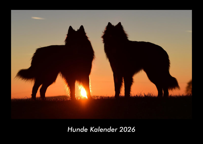 Hunde Kalender Fotokalender 2026 - Hauptbild
