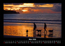 Hunde Kalender Fotokalender 2026 - 3