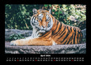 Tiger Fotokalender 2026 - 4