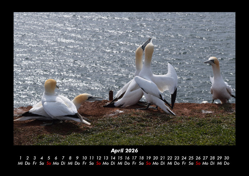 Seeblick Fotokalender 2026 - 4