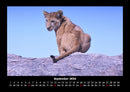Löwen in der Wildnis Fotokalender 2026 - 9