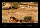 Löwen in der Wildnis Fotokalender 2026 - 6