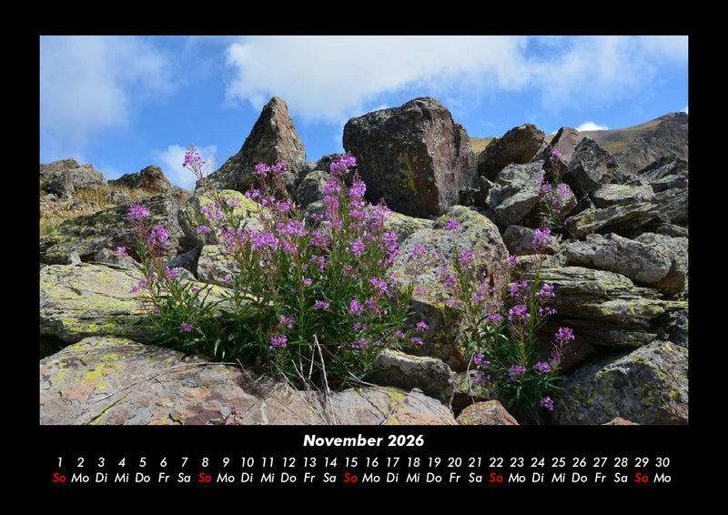 Blumenträume Fotokalender 2026 - 11