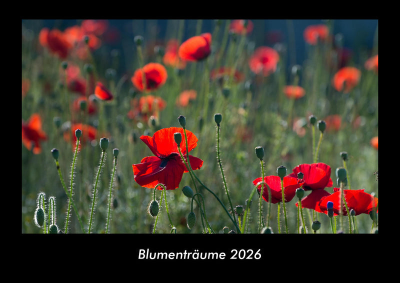 Blumenträume Fotokalender 2026 - Hauptbild