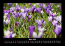 Blumenträume Fotokalender 2026 - 3