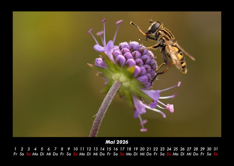 Blumenträume Fotokalender 2026 - 5