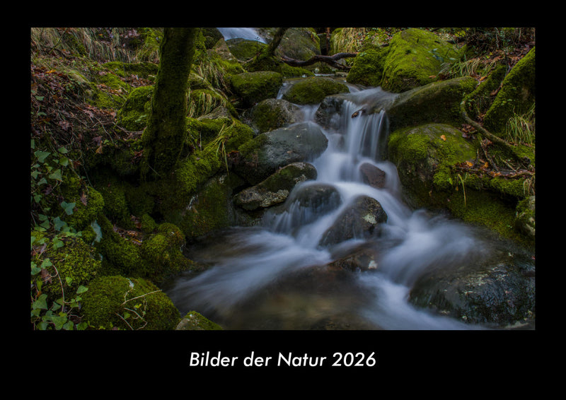 Bilder der Natur Fotokalender 2026 - Hauptbild