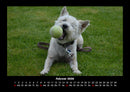 Hundezauber Fotokalender 2026 - 2