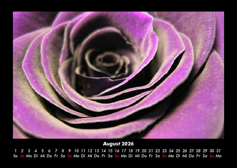 Rosen-Kalender Fotokalender 2026 - 8