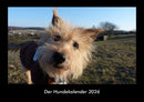 Der Hundekalender Fotokalender 2026 - Hauptbild
