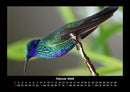 Welt der Vögel Fotokalender 2026 - 2