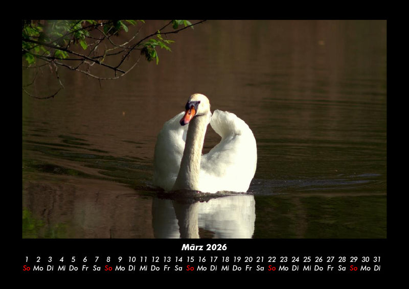 Welt der Vögel Fotokalender 2026 - 3