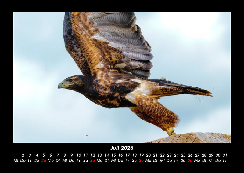 Welt der Vögel Fotokalender 2026 - 7