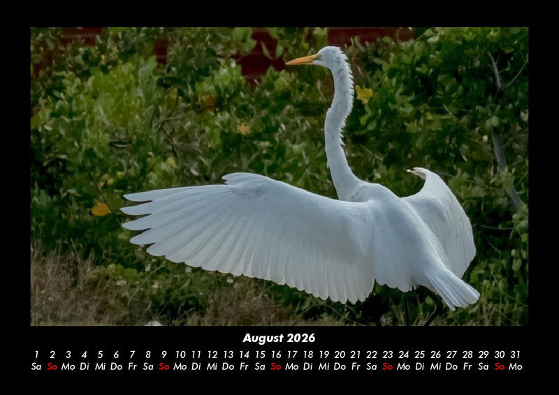 Welt der Vögel Fotokalender 2026 - 8