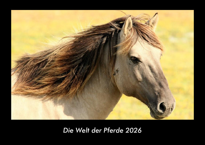 Die Welt der Pferde Fotokalender 2026 - Hauptbild