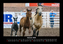 Die Welt der Pferde Fotokalender 2026 - 2