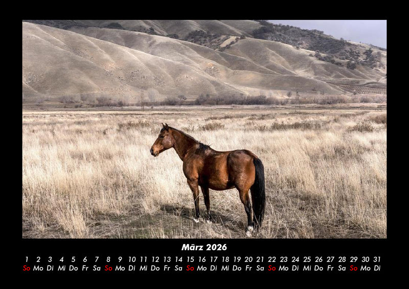 Die Welt der Pferde Fotokalender 2026 - 3