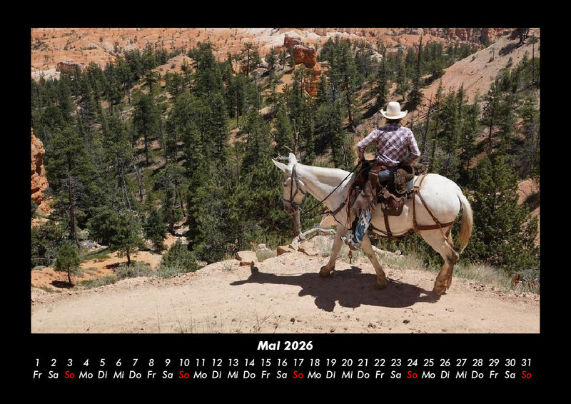 Die Welt der Pferde Fotokalender 2026 - 5