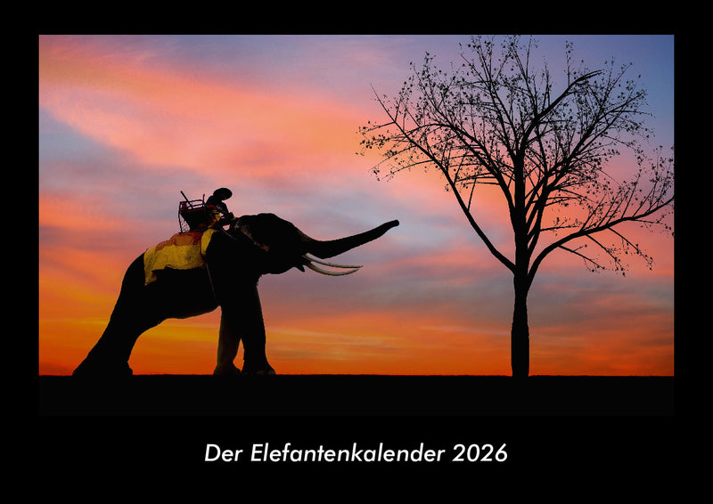 Der Elefantenkalender Fotokalender 2026 - Hauptbild