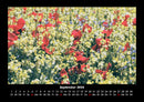 Blumenträume Fotokalender 2026 - 9
