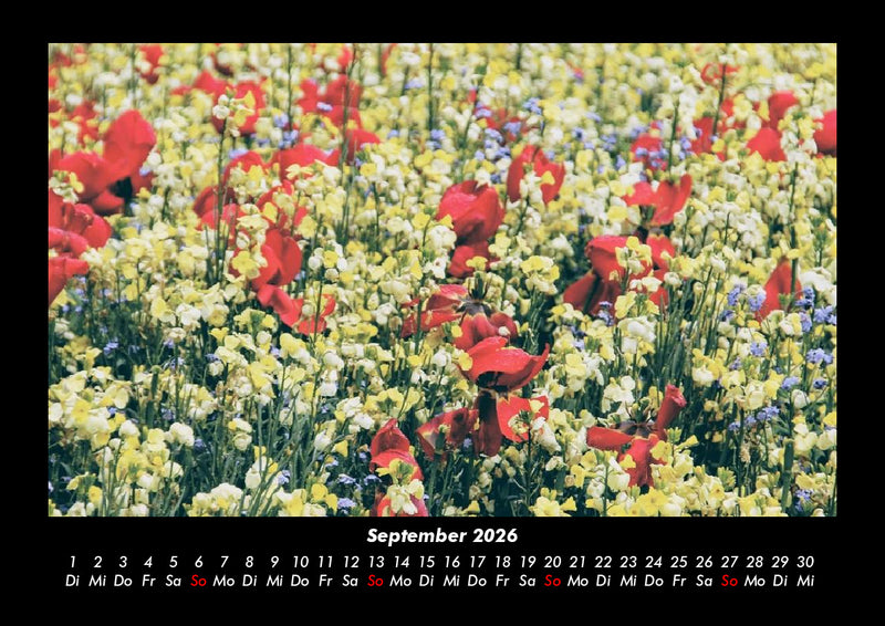 Blumenträume Fotokalender 2026 - 9