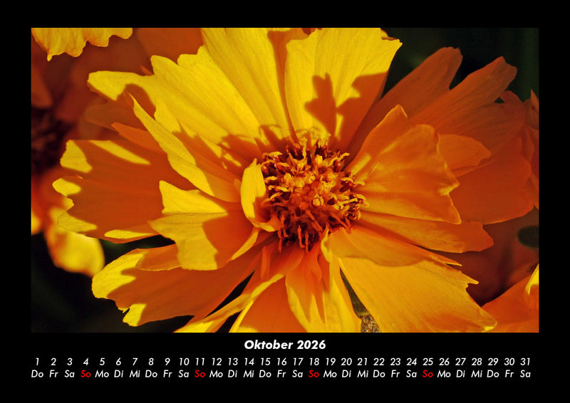 Blumenträume Fotokalender 2026 - 10