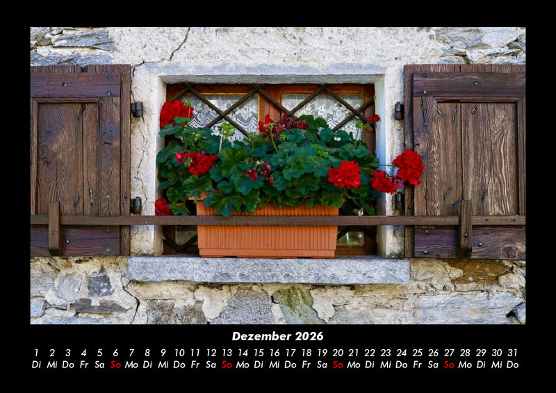 Blumenträume Fotokalender 2026 - 12