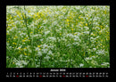 Blumenträume Fotokalender 2026 - 1