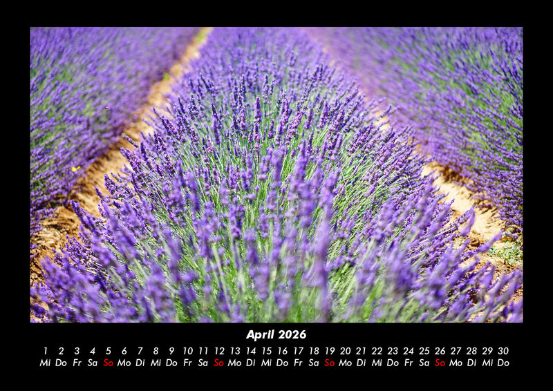 Blumenträume Fotokalender 2026 - 4