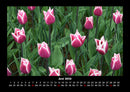 Blumenträume Fotokalender 2026 - 6