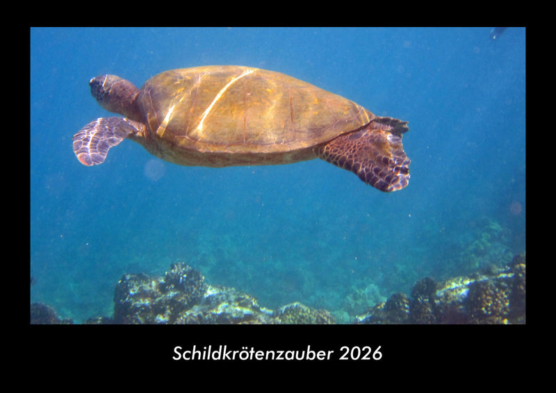 Schildkrötenzauber Fotokalender 2026 - Hauptbild