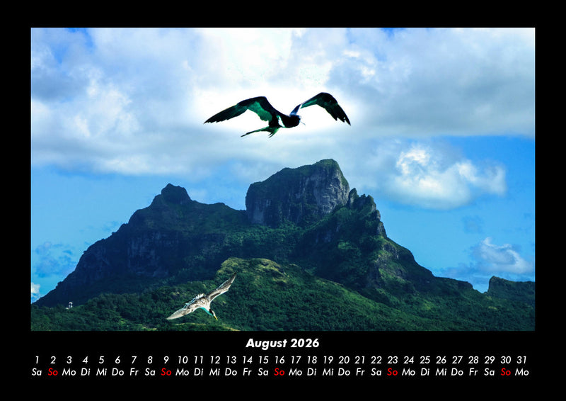 Möwen Fotokalender 2026 - 8