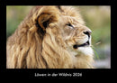 Löwen in der Wildnis Fotokalender 2026 - Hauptbild